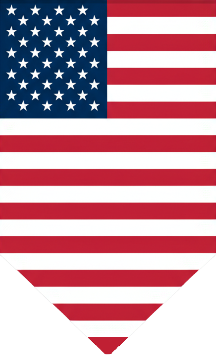 USA Flag